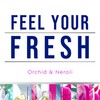Glade PlugIns Refills Air Freshener, Scented and Essential Oils for