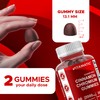 Vitamatic Sugar-Free Chromium Gummies with Ceylon Cinnamon – 2000 mg