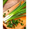 Bunching Green Onion Seeds Scallions About 300 Non-GMO Seeds for
