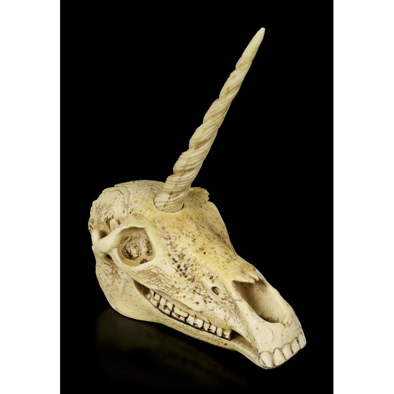 Figuren Shop GmbH Unicorn Fantasy Skull | Gothic Head Sculpture,