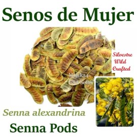 majcka4 SENOS de MUJER ½ oz  Hierbas Senna Pods ½ oz Senna alexandrina