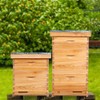 POLLIBEE Beehive- 8 Frame Bee Hive Starter kit, Beeswax Coated