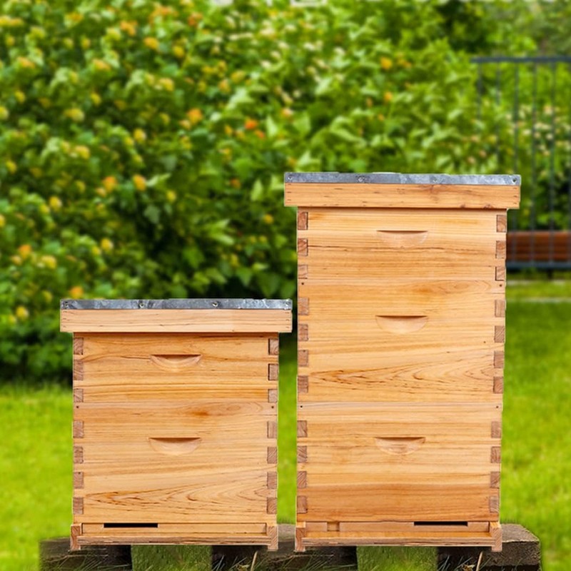 POLLIBEE Beehive- 8 Frame Bee Hive Starter kit, Beeswax Coated