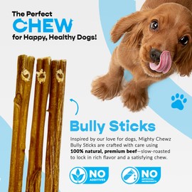 MIGHTY CHEWZ 12" Jumbo Bully Sticks 5 Pack Refill - No Choking/All Natural Pizzle Sticks