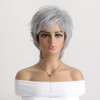 AUBWIG Long Soft Silver Grey Shaggy Tiered Wigs for Women