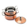 Coconut Royale Copper with Glass Lid Handi/Cookware Set (Stainless Steel,