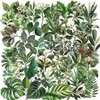 Transparent Green Leaf Stickers 50Pcs Cute Cartoon Plant Sticker for
