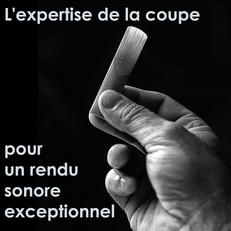 RIGOTTI Box of 10 Reeds for Tenor Saxophone Strength 3.5