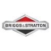 Briggs & Stratton 2-Cycle Easy Mix Motor Oil - 16