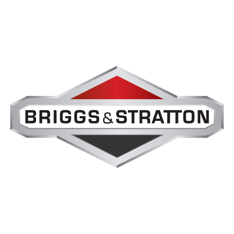 Briggs & Stratton 2-Cycle Easy Mix Motor Oil - 16