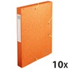 Exacompta 14017H Premium Collection Box with Elastic Band, 40 mm