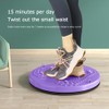 2 Pack Split Type Twist Waist Disc Balance Board -