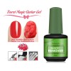 Aliver Remover Gel - Quita Gelish Gel Acrilico , 15ml