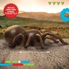 Discovery RC Tarantula Spider Remote Control Toy with Glowing Eyes