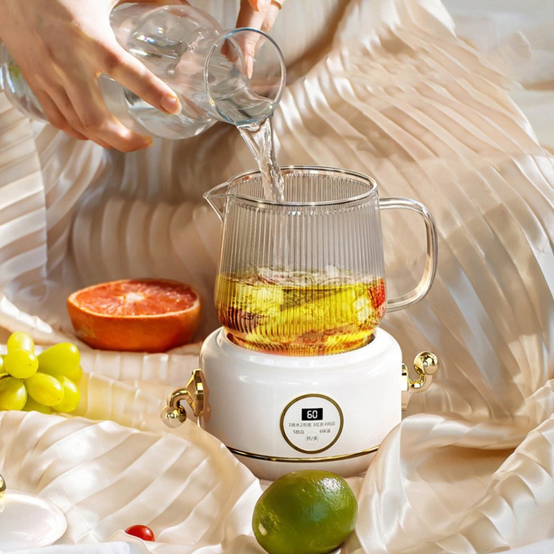 Health Pot Stainless Steel Glass Multifunctional Mini Electric Tea Maker