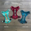 Wilderdog Lightweight Dog Harness with Reflective Straps - Large -