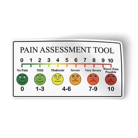 Pain Assessment Tool Scale Reference Vinyl Sticker 5" x 3"