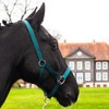 Pferdelinis Halter for Warmblood, Thoroughbred, Cold Blood, Pony - Stable