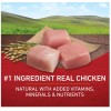 Undisclosed Purina ONE Chicken and Rice Formula Dry Dog Food