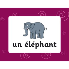 French Vocabulary Flashcards for Ages 9-11 (with Free Online Audio) (CGP KS2 Activity Books and Cards)