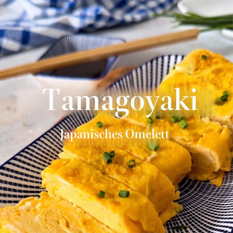 Ibili Rectangular Tamagoyaki Pan, 411218