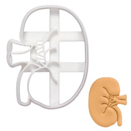 Exterior View of Kidney Cookie Cutter, 1 Piece. Bakerlogy