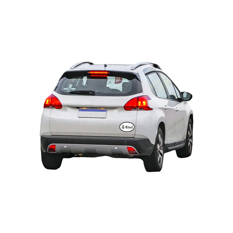 Bee Kind Magnet - 4x6 Oval Automobile Magnet (1 Magnet)