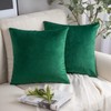 Phantoscope Velvet Throw Pillow Covers, Set of 2, Simple Cushion