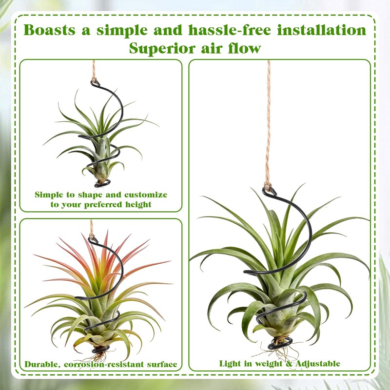 Xelsluthe 12 Pcs Air Plants Live Holders with Jute Ropes,