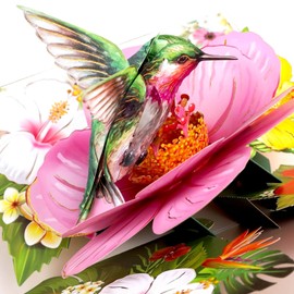 Hierein Birthday Card, Hummingbird and Hibiscus Pop Up Card with Envelope, Beautiful Flower Card, Birthday Card Wife for Mother, Wife, Girlfriend, Daughter, Aunt, Grandma, Thank You Cards, Get Soon