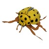 FRANKIEZHOU Ladybug Plush Stuffed Animal Toy,Soft Beetle Toy for Kids,Home