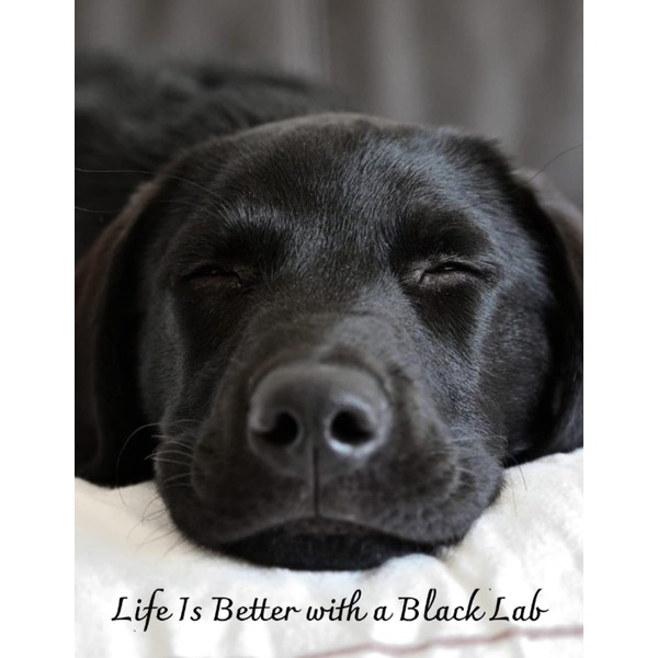 Labrador Retriever - Life Is Better with a Black Lab: