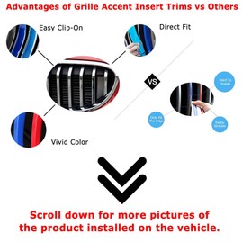 iJDMTOY Exact Fit Iconic 3-Color Grille Insert Trims Compatible With 2009-2016 Z4 Roadster w/ 9-Beam Grille Mesh