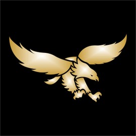 AMA SHOP Sticker PVC Prespaced Eagle mod.15 color Gold | Sticker for Helmet, Motorcycle, Camper, Boat | autoTuning |