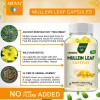 3 Bottles Mullein Leaf Capsules Lung Cleanse Detox Herbal Dietary