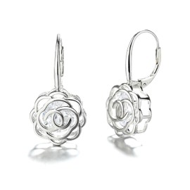 Caged Genuine Crystal Lever Back Earrings - Women's Earrings for Sensitive Ears - Great Gift Idea for Every Occasion - Size (30mm L x 15mm W), 18K Rose Gold Plated, crystal