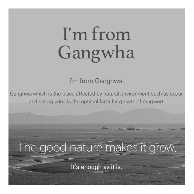 Máscara de Mugwort, 110 g, K-Beauty