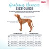 HALTI Anatomy Dog Harness with Handle - Provides Your Dog