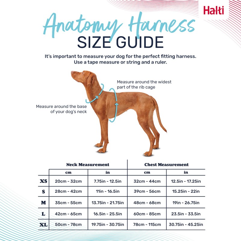 HALTI Anatomy Dog Harness with Handle - Provides Your Dog
