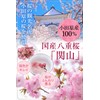 Sakura Salted Vegetables 100% Domestically Produced, Using Double-Blossom Sakura with