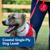 Coastal Pet Single-Ply Dog Leash - Sturdy Pet Leash -
