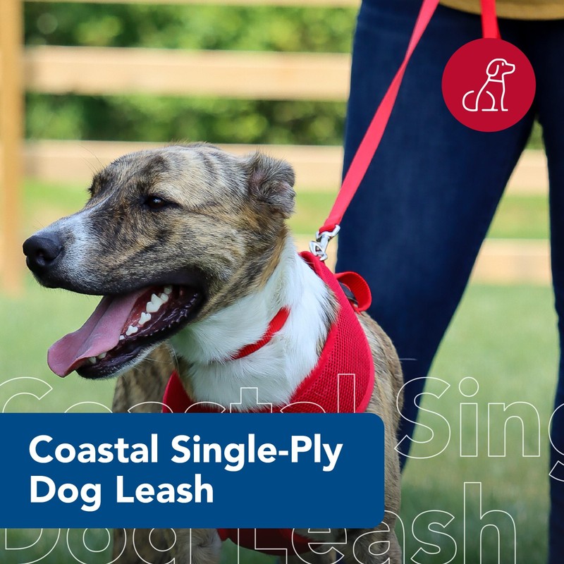 Coastal Pet Single-Ply Dog Leash - Sturdy Pet Leash -