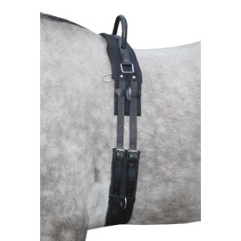 HKM Lunging girth 1795 lunging belt Black Pony
