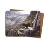 Julian Friers Golden Eagle Large Table Mats by Wildlife Artist