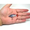 Silver roach realistic FRY Multi Jointed Fishing Lure / Swimbait