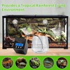 RUNWUSHENG Reptile Mister System, Reptile Humidifier for Terrariums, auto Mister