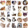 50PCS Water Bottle Stickers for Kids Teens,Funny Cat Emoji Stickers,Cute