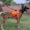 ICEFANG Tactical Dog Harness with 4X Metal Buckle,Working Dog MOLLE