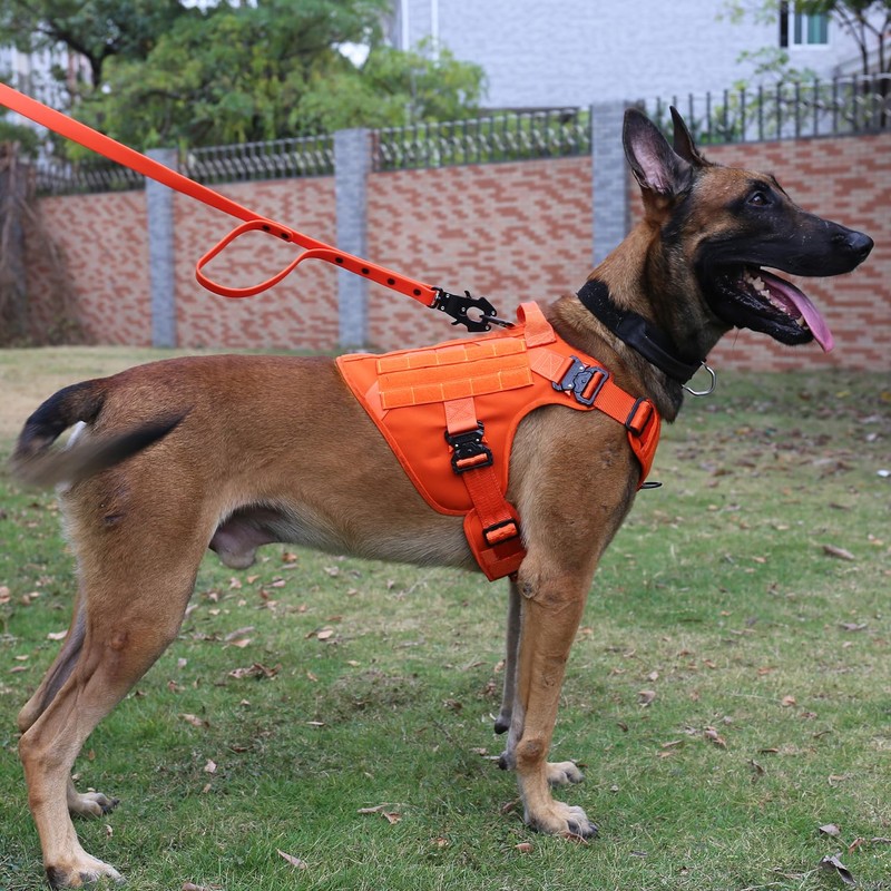 ICEFANG Tactical Dog Harness with 4X Metal Buckle,Working Dog MOLLE