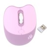 Wireless Mouse BT5.1 Or 2.4GHz Silent Click Adjustable DPI Auto